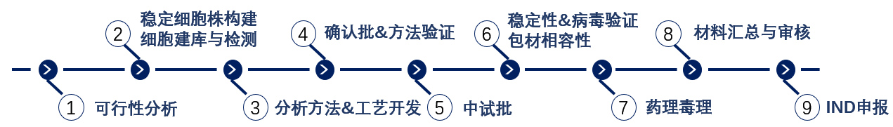 二四六正版资料免费大全