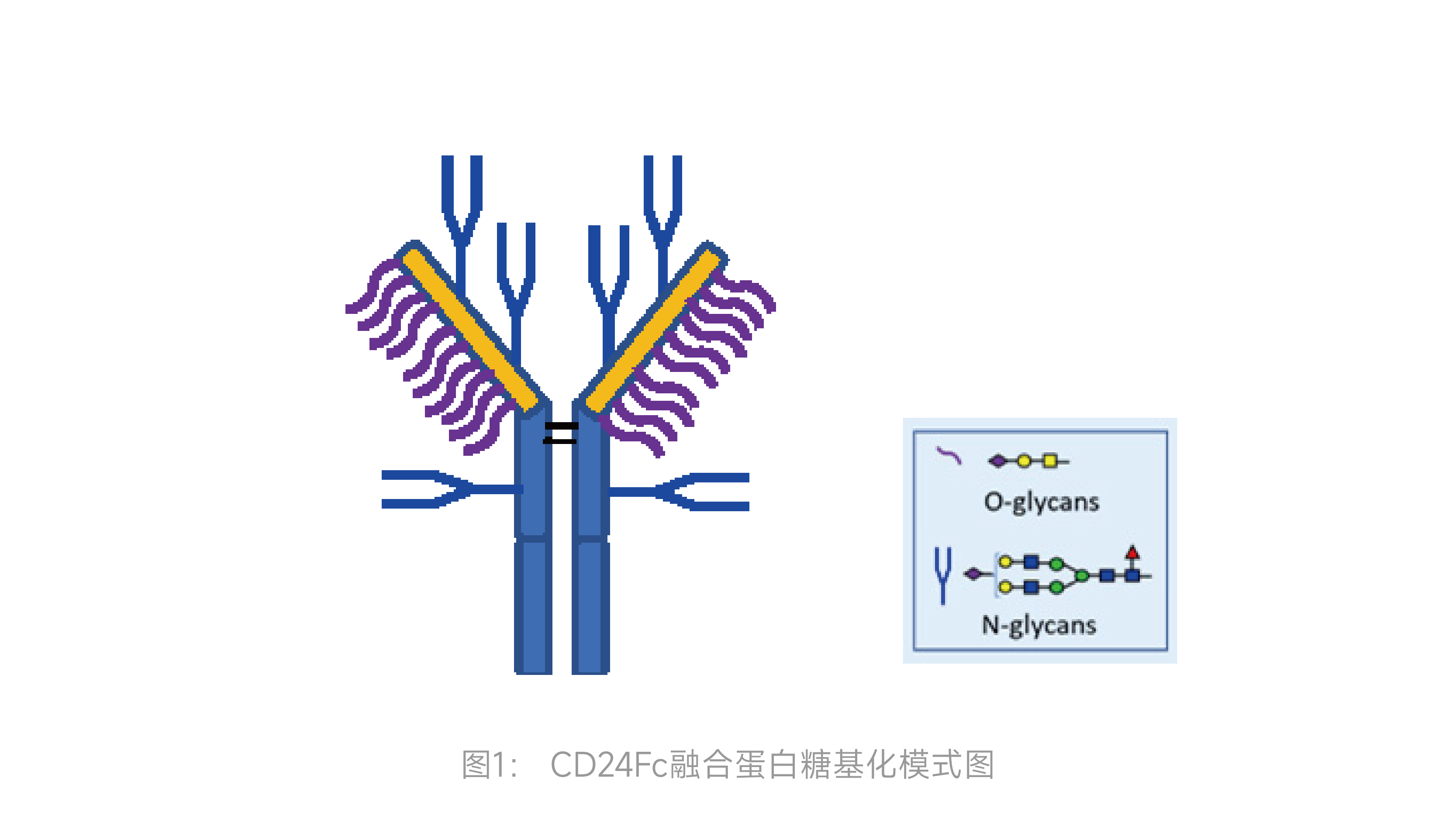 二四六正版资料免费大全