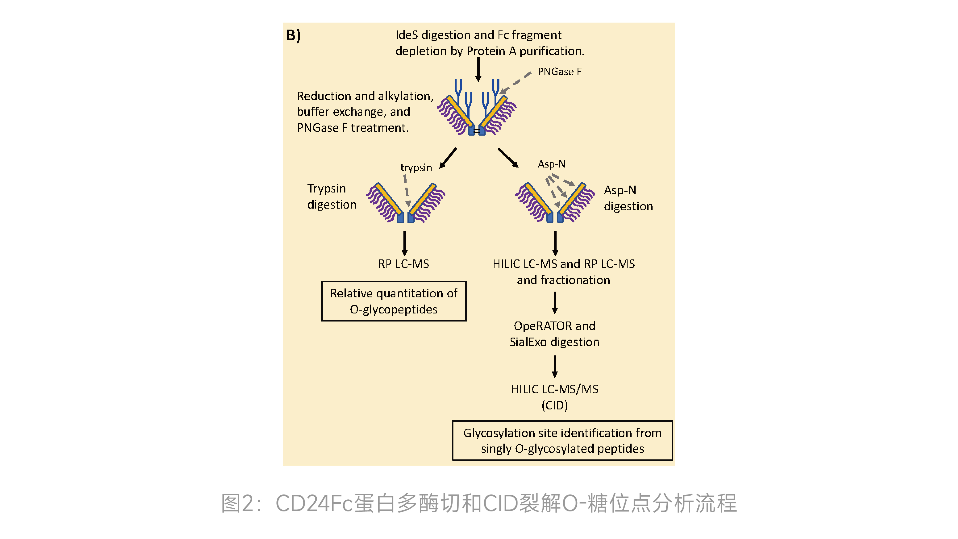 二四六正版资料免费大全