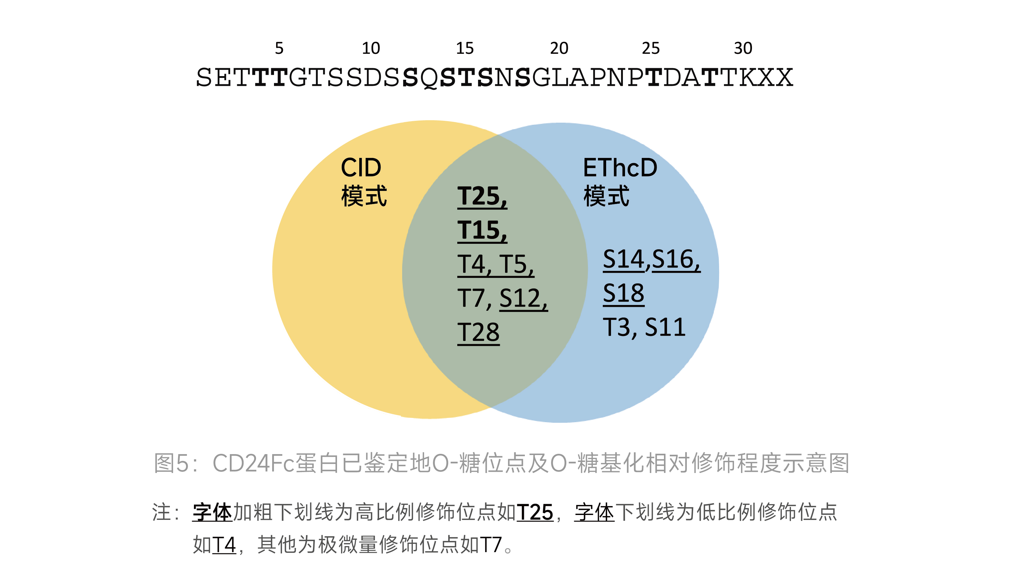 二四六正版资料免费大全