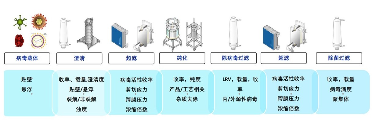 二四六正版资料免费大全