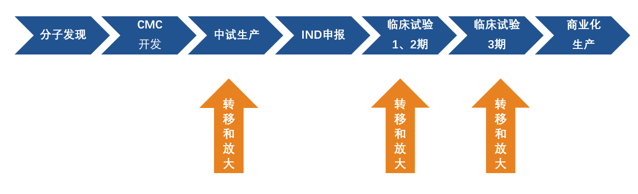 二四六正版资料免费大全