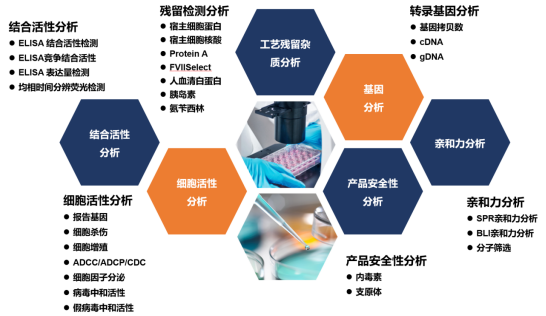 二四六正版资料免费大全