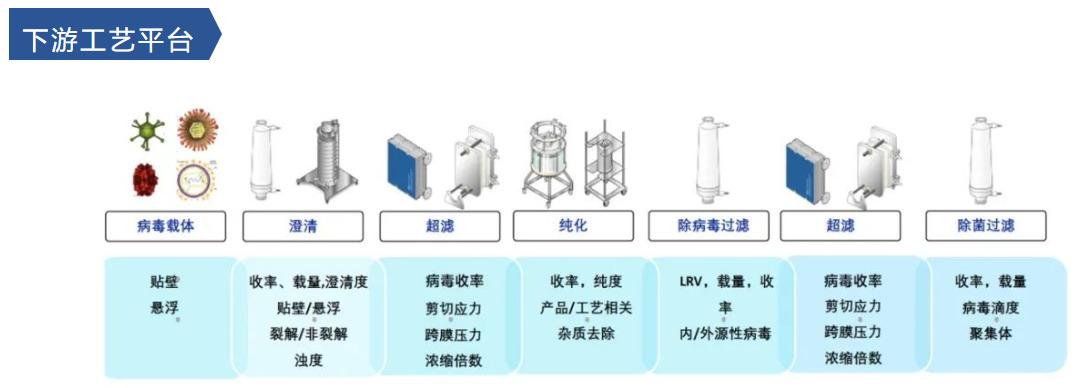 二四六正版资料免费大全