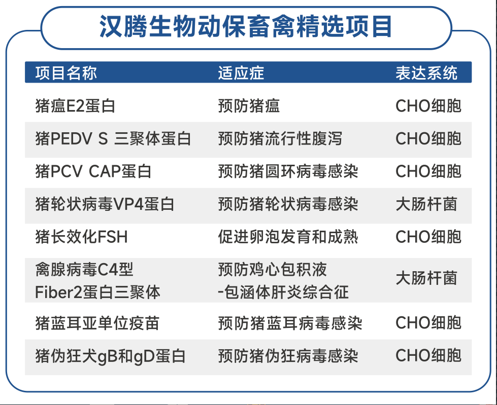 二四六正版资料免费大全